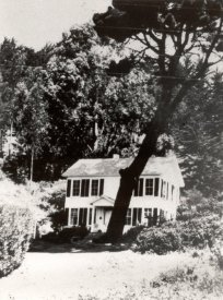 print,photographic