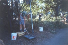 Man with Paint Roller