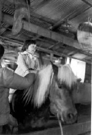 1997-221 Riding the Pony