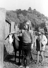 1997-218-petting the goat