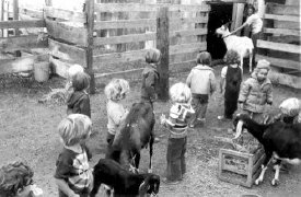 1997-215 Feeding the Goats