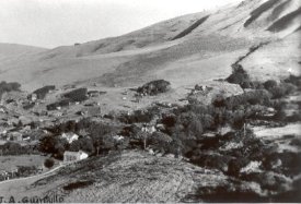 print,photographic                      