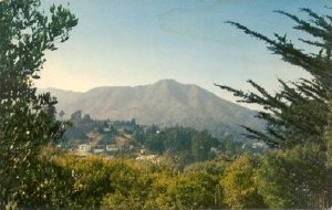 Mount Tamalpais