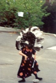 2002-260