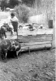 1997-216 Pig Pen