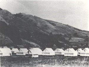 Camps and Camping
